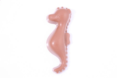 Seahorse